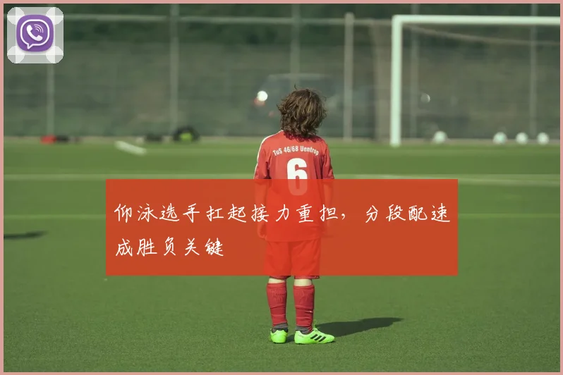 仰泳选手扛起接力重担，分段配速成胜负关键