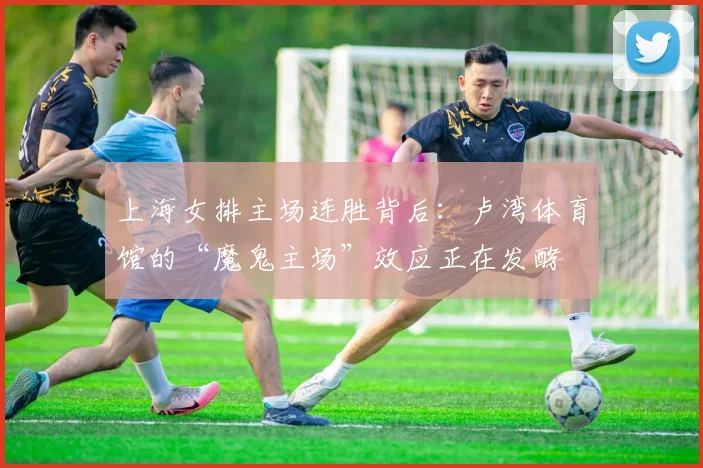 上海女排主场连胜背后：卢湾体育馆的“魔鬼主场”效应正在发酵