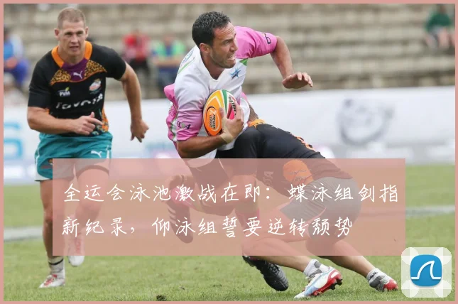 全运会泳池激战在即：蝶泳组剑指新纪录，仰泳组誓要逆转颓势