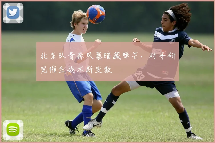 北京队青春风暴暗藏锋芒，对手研究催生战术新变数